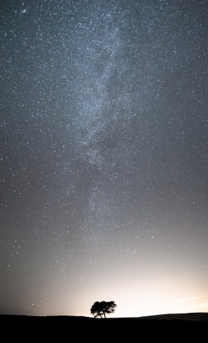 1_Lone-tree-under-the-cosmos