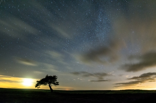 The Lone tree, moon and stars