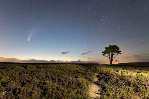 Comet Neowise on the Moors