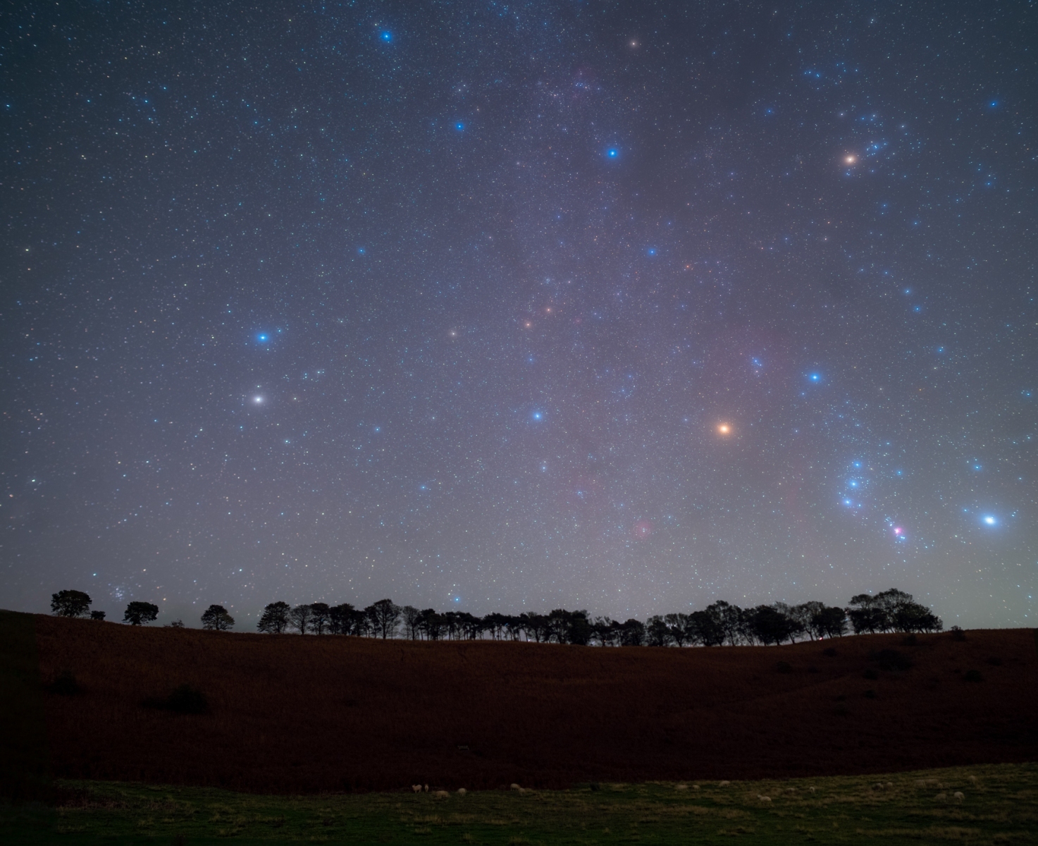 Levisham-Moor-Orion