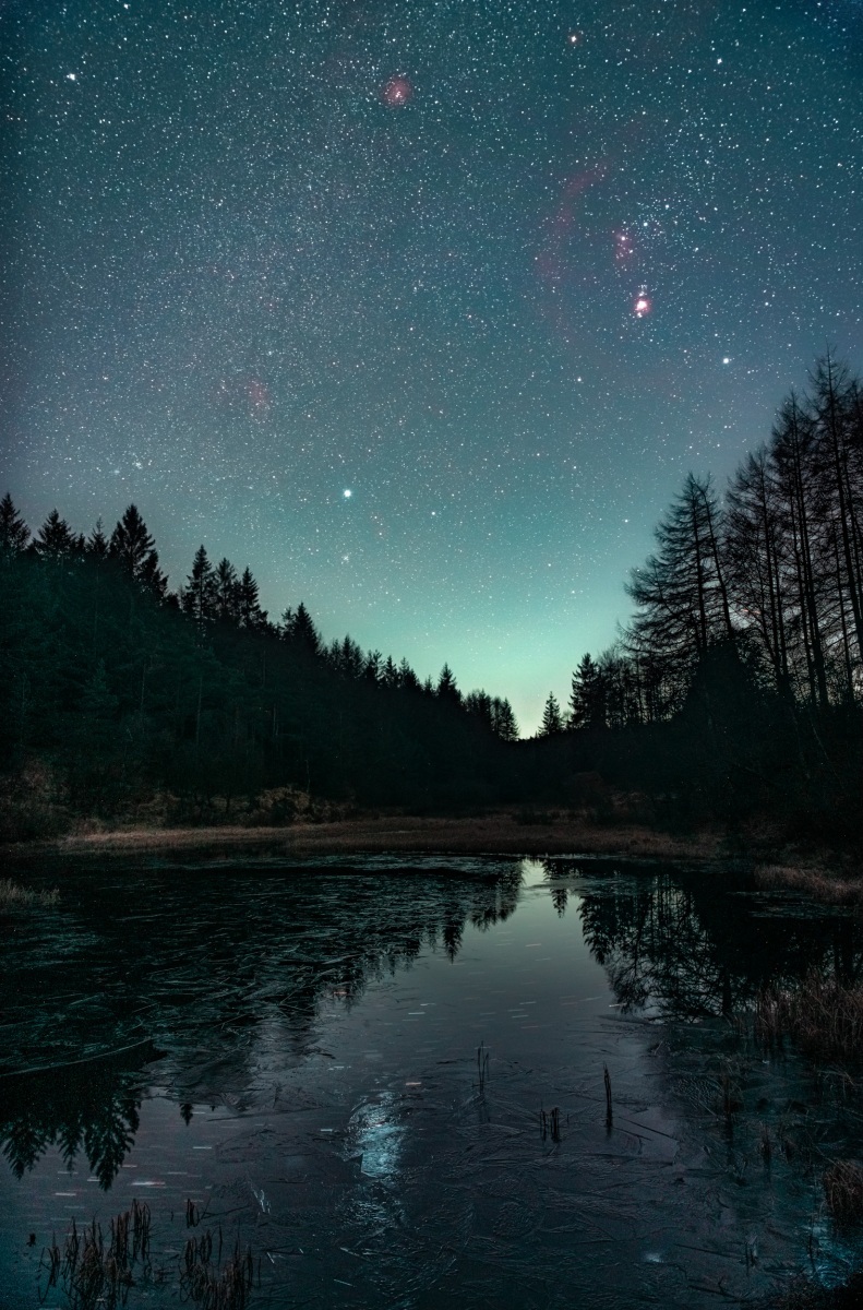 Orion-Cropton-Forest