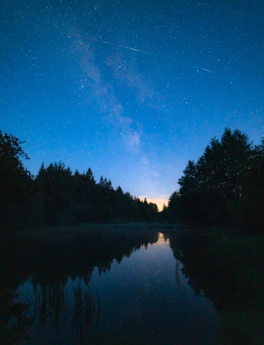 Starlink-over-Cropton-Forest