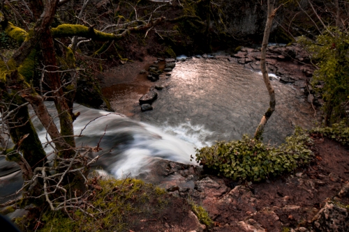 DSC_1714