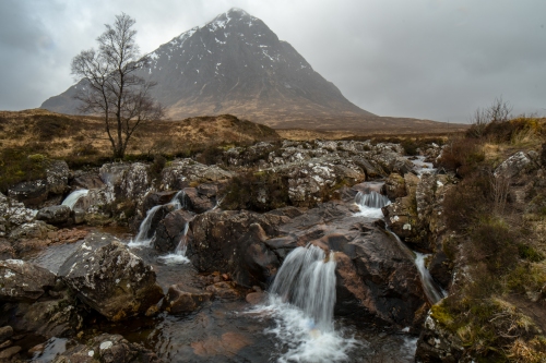 DSC_2609