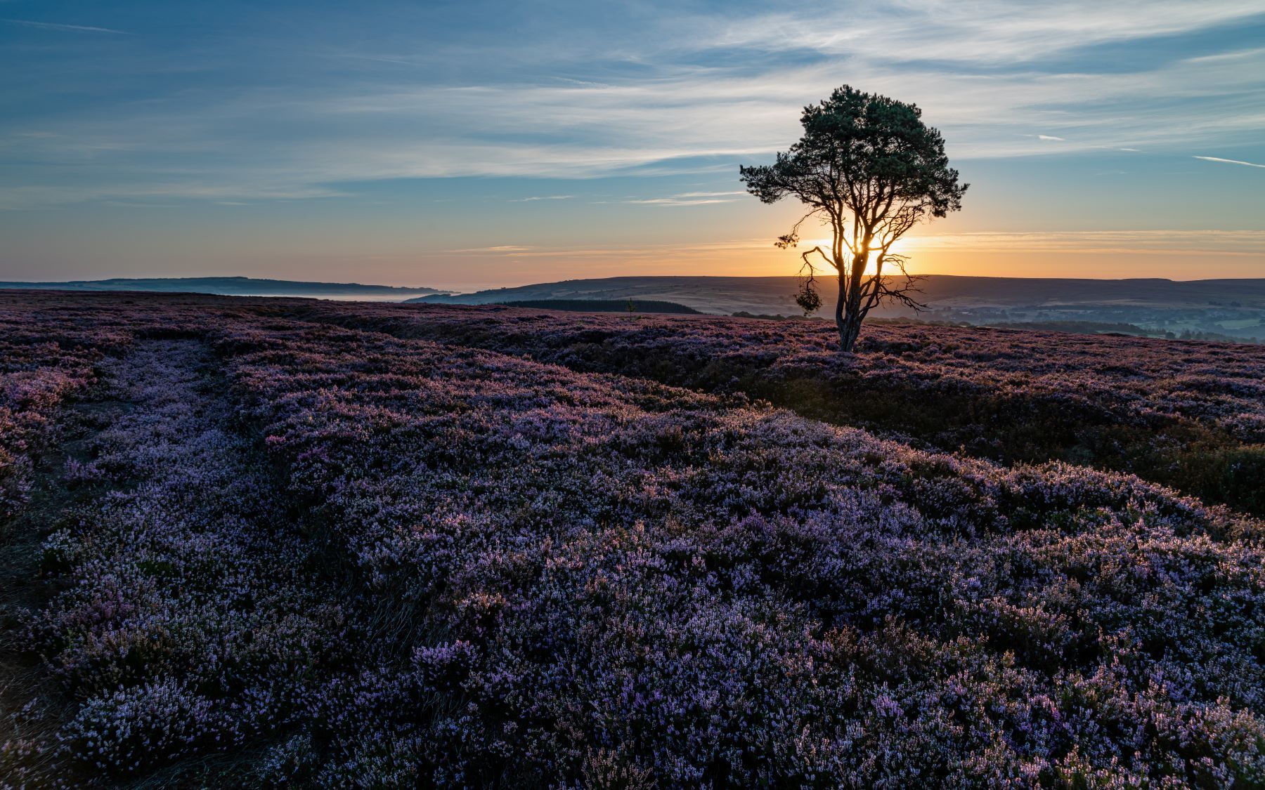 Heather-Sunrise-2