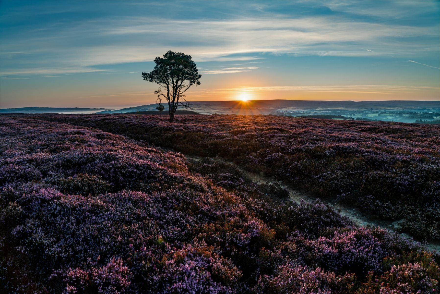 Heather-Sunrise